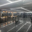 윌 휘트니스 이미지