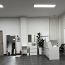 클로버 애견미용 이미지