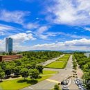 영남대학교 이미지