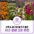 서곶공원 | 심곡동 서곶근린공원 &amp; 연희동 경명공원 산책·꽃구경 후기 | 인천 서구 봄꽃 현황, 봄 산책 장소 추천