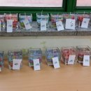 백동초등학교 이미지