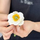 플라워 테라피(A) 이미지