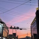 오이시네 이미지