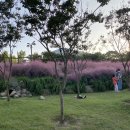 뼈큰감자탕 내당점 이미지