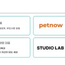 팍스네이션