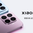 17 전자신문