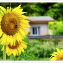 위봉산성마을 이미지