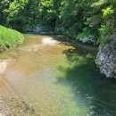 알파카 소풍 펜션 이미지