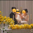 이효컴퍼니 | 대전 돌잔치 아기 드레스 한복 대여 대전 탄방동 이효컴퍼니