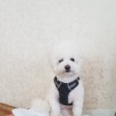 벌교우렁집 이미지