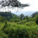 동대구농장 이미지