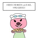 화순로 이미지