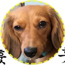 멍츄릅 이미지