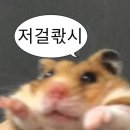 대학복사 | [2025년 1회] 정보처리기사 필기 시험 준비 과정과 후기 &amp; 해외 대학 졸업자 응시자격서류 제출