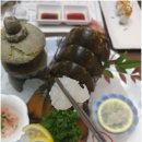 덴포라