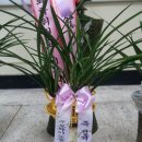 한진화학(주)노동조합 이미지