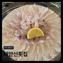 포차무심 | 마산 수변공원 ㅣ횟집 마산어시장 해안선횟집 모듬회 노상포차 후기