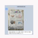 캠프 후기 ㅣ 싱가포르 캠프, 제주 글로벌 캠프 그리고 인블룸 가족들의 이야기