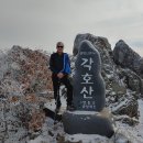 신고입고
