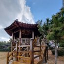 철새탐조대 | [부산] 명지,<명지철새탐조대>를 아이들과 다녀와서(ft. 갈맷길 5-1) 2025.01.27