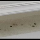 중화공인중개사사무소 이미지