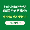 메리몽드 펫살롱 | 메리몰펫샵 본점 이런곳이라니