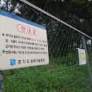 해오름아파트 앞 사거리-2 Daum카페