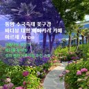 송현민박 | 통영 수국축제 꽃구경 | 바다뷰 대형 베이커리 카페 아르세 Arce 주차, 메뉴 | 가족여행 추천
