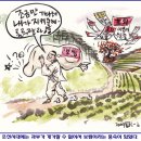 조선보쌈 이미지