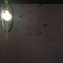 안스와인 이미지