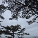 놀자 | 🌊 바다와 함께하는 감성캠핑, 바다야 놀자 캠핑장 후기