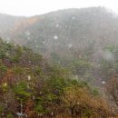 수두농장 이미지