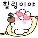 월악산영봉매점
