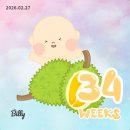 목포피자공장 | 임신일기 | 34주~35주차 | 미뤄왔던 빨래공장 2차전🤛 | 세종시 산후도우미 지원신청🌱 | 35주 막달검사...