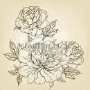 데생&수채화 이미지