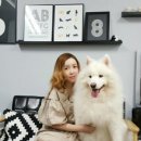핑크펫