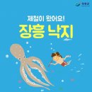 장흥낙지 이미지