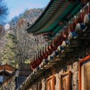 청와삼대 이미지