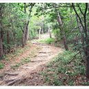 맹종죽순체험길 이미지