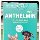 영덕종합약국 이미지