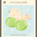 정왕보건소 이미지