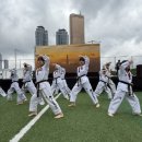 강철태권도 이미지