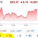 엠에스메디 이미지