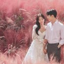 펠리스스튜디오