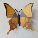 이글루고 태양광발전소 이미지