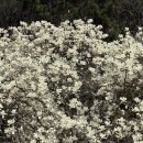 충혼탑 주차장 주변 | 창원 데이트 코스 추천 🌿 충혼탑 산책부터 북면 닭보쌈, 대원동 카페오드 정복!