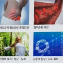 비만으로인한 체지방 분해효과 힐링엔젤스 족욕체험 자기장부스 체험후기