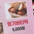 논산계룡농업협동조합 하나로마트분사 | 2026 논산 딸기축제 | 일요일 오픈런 후기