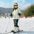슈페리어짱 PC방 | ⛷️[스키여행] 비발디파크 스키장|소노문|셔틀버스|찐렌탈샵|꿀팁