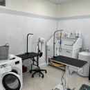 미용하러오개 이미지